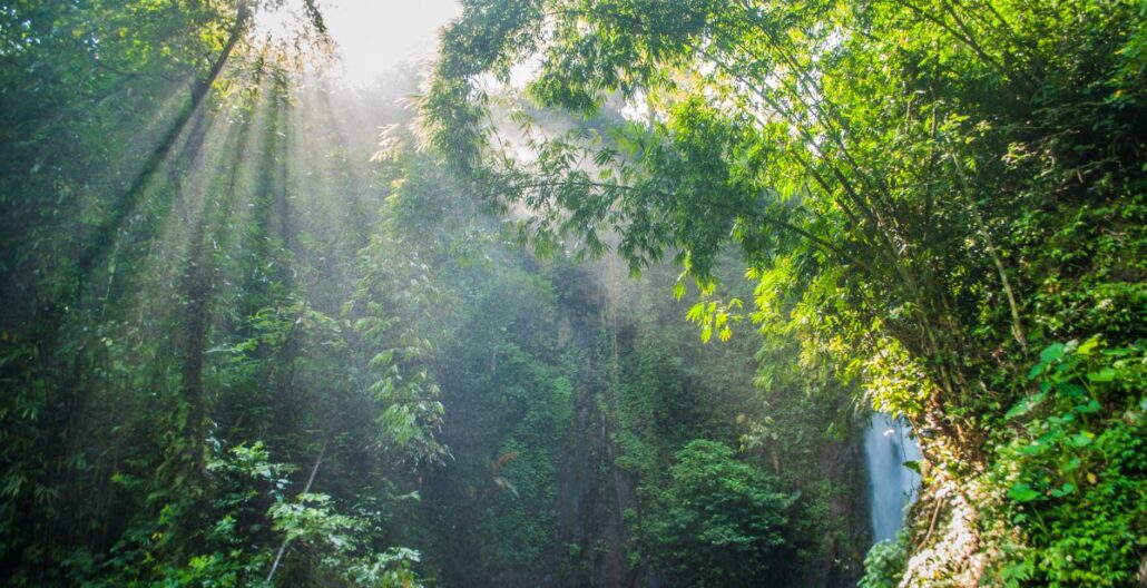 Autorización ambiental